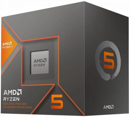 AMD Ryzen 5 8600G
